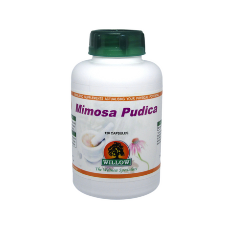 Mimosa Pudica