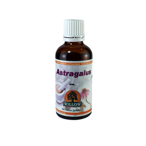 Astragalus