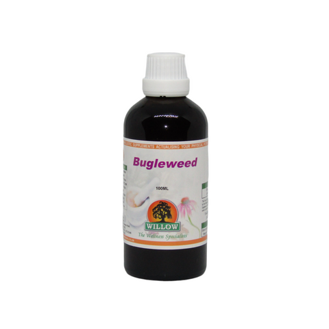 Bugleweed